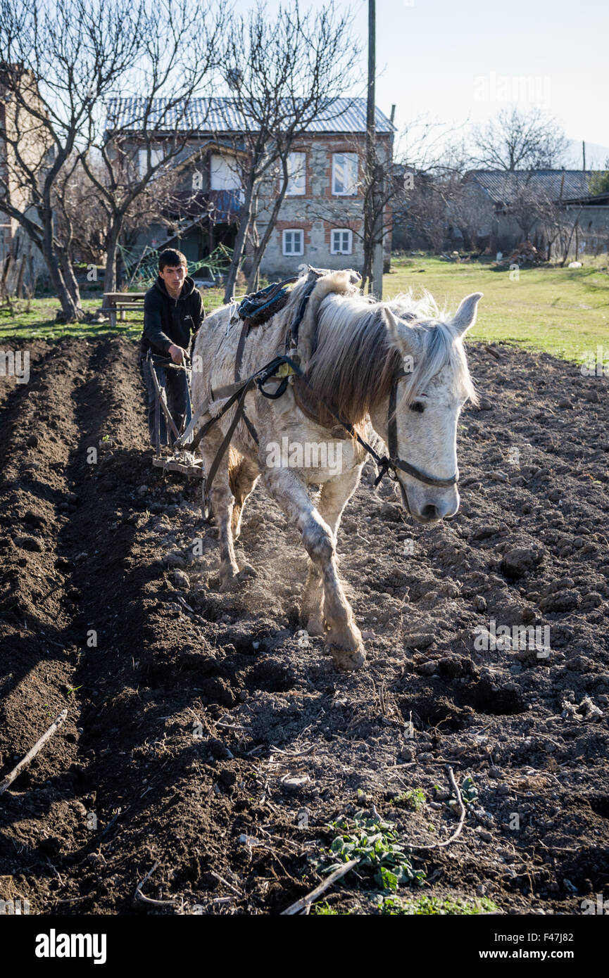 Horse Drawn Plow High Resolution Stock Photography and Images - Alamy