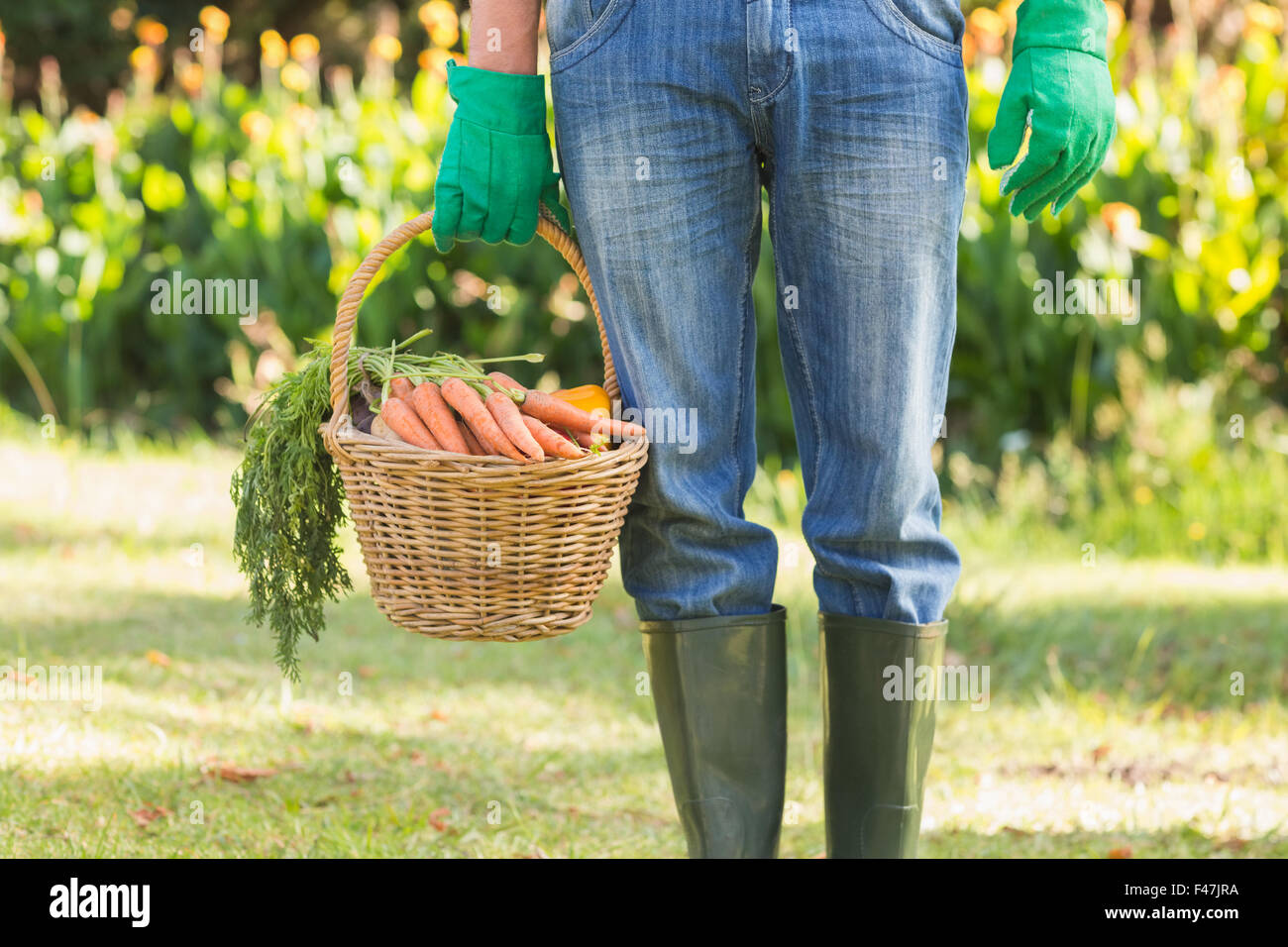 Farmer holding basket of vegetables Stock Photo - Alamy