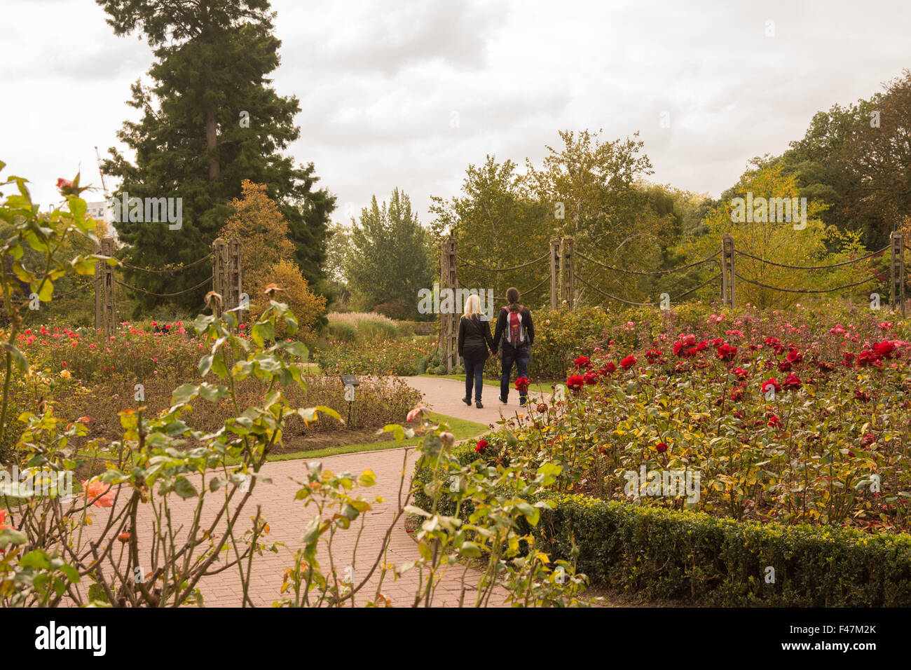 Two people relaxing regents park hires stock photography and images