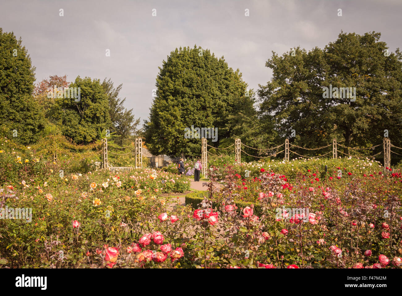 UK weather, London, 15th October 2015. Regent's Park is beginning to