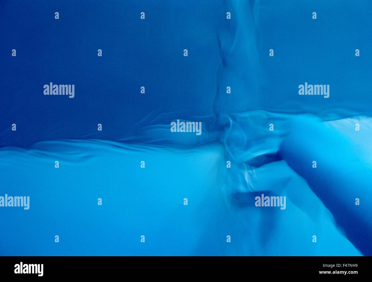 Picture of Movement in the water in an aquarium, Australia Stock Photo - Alamy