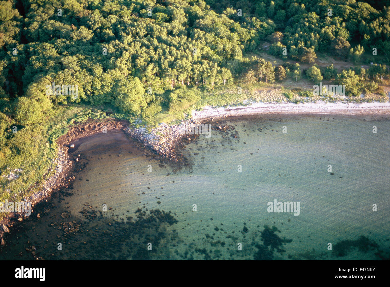 Forest and beach, aerial view, Skane, Sweden. Stock Photo