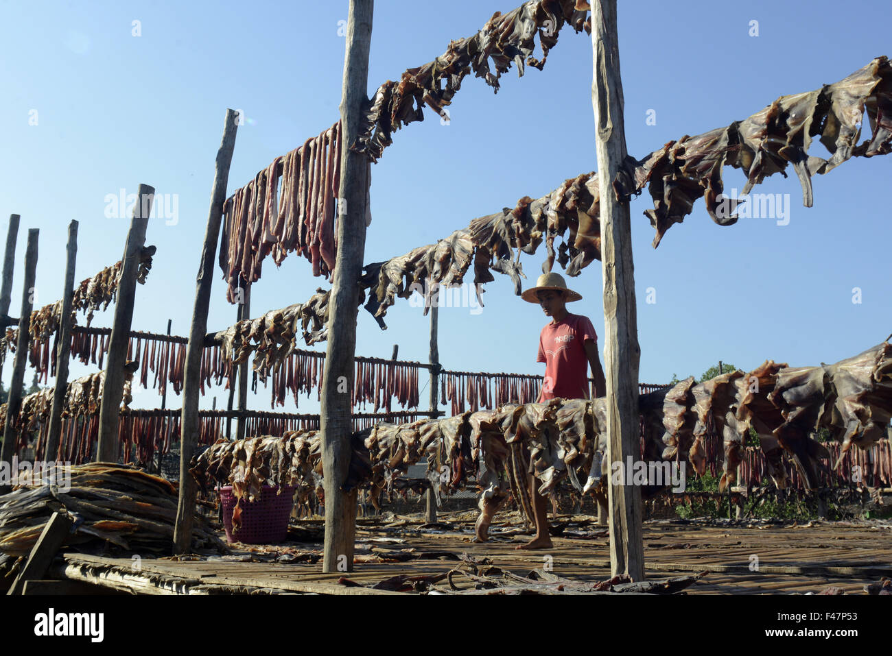 ASIA MYANMAR MYEIK DRY FISH PRODUCTION Stock Photo
