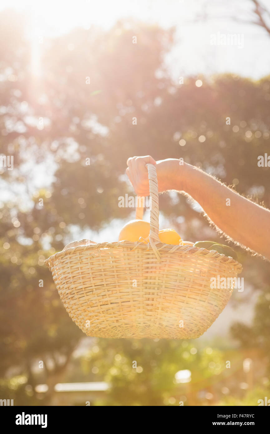 Farmer holding a basket of vegetables Stock Photo - Alamy
