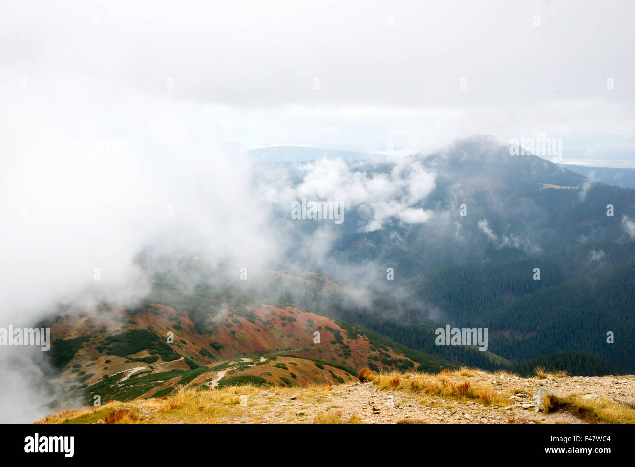 Tatra mountains in clouds Stock Photo - Alamy
