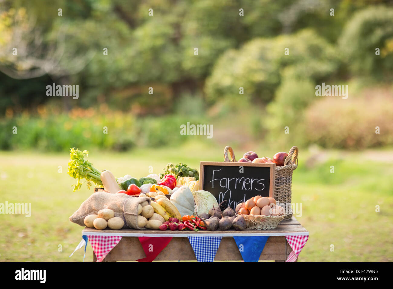 Table with locally grown vegetables Stock Photo Alamy
