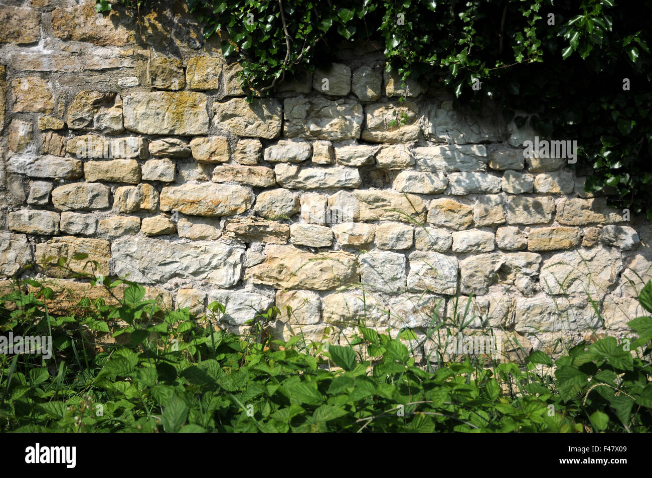 Lime-stone wall Stock Photo