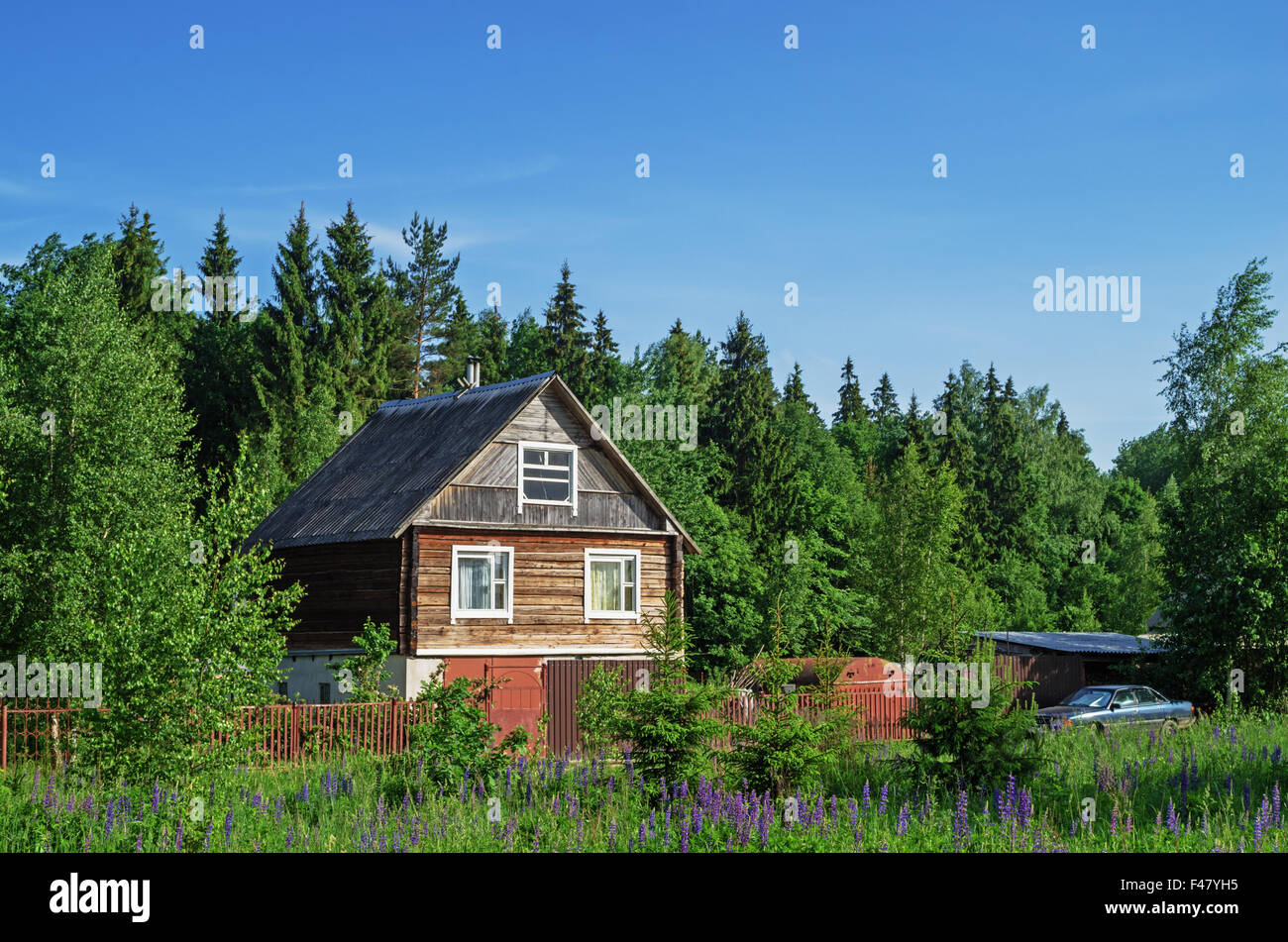 Village landscape house near forest Stock Photo Alamy