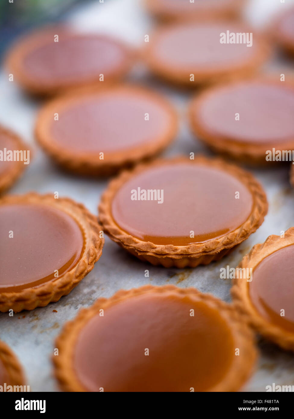Pies, close-up, Sweden. Stock Photo