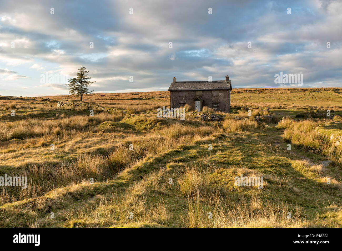 Beautiful evening light over an old abandoned farm house at Nun's Cross near Princetown on Dartmoor in Devon Stock Photo