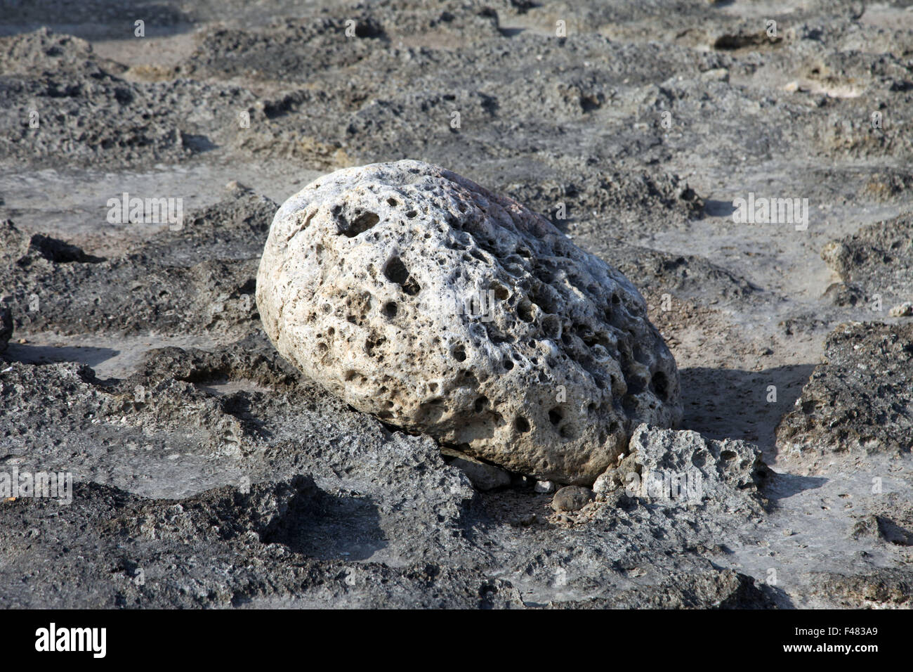 It's a photo of a lava stone in a egg shape that is on the floor or ground in Okinawa island in Japan Stock Photo