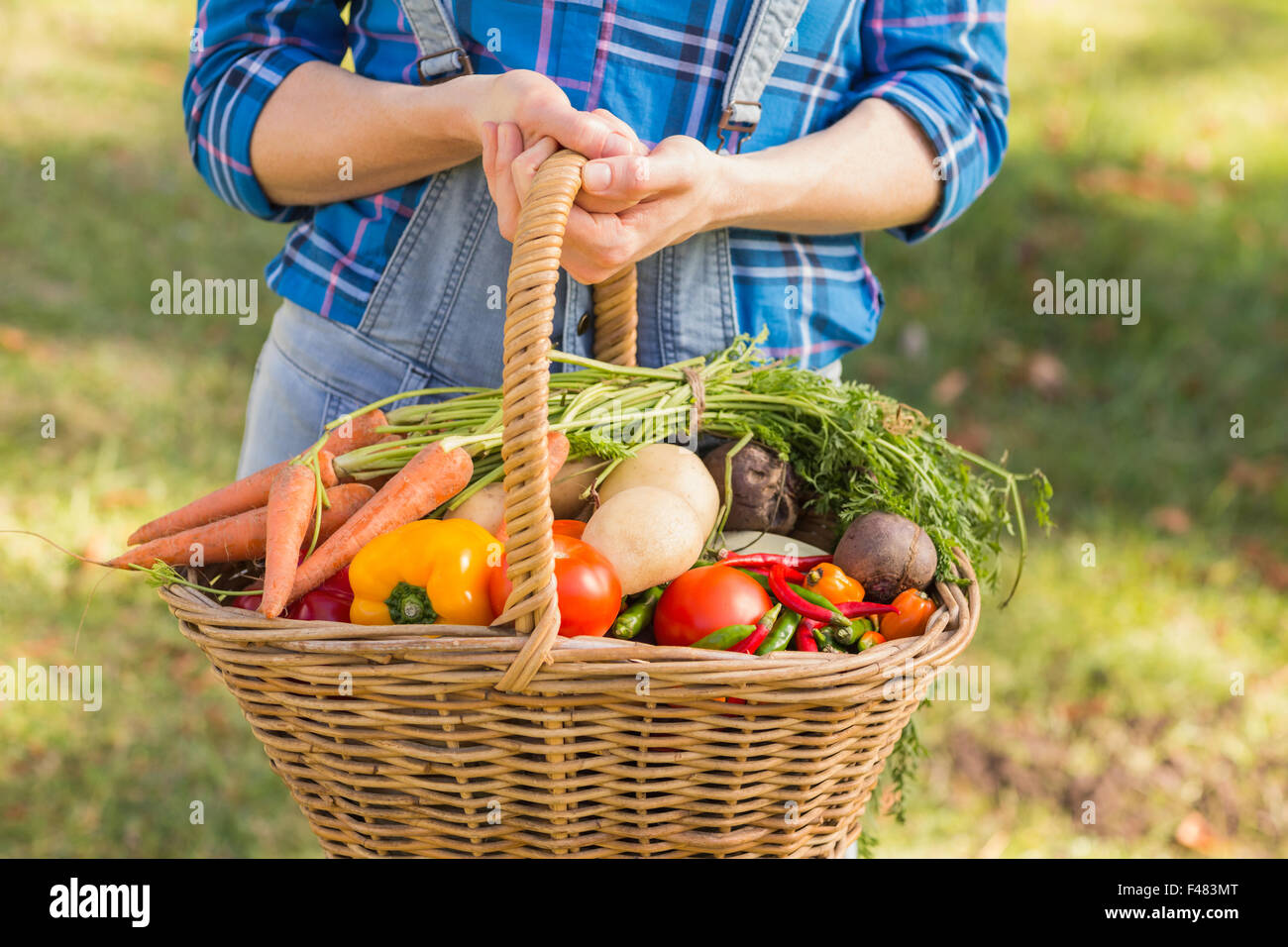 Woman holding basket of vegetables Stock Photo - Alamy