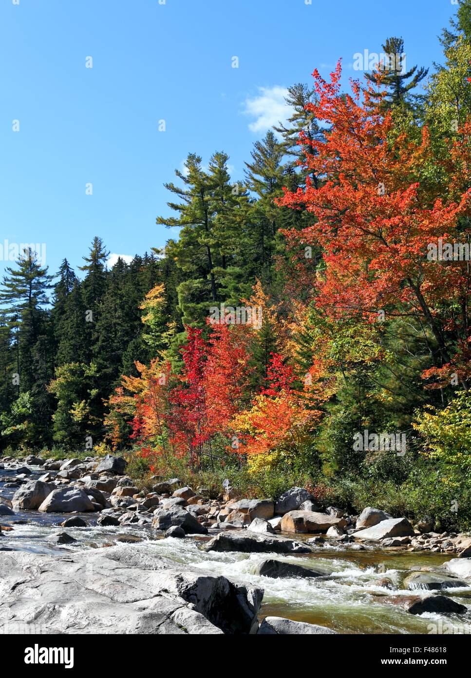 Fall Colors Stock Photo