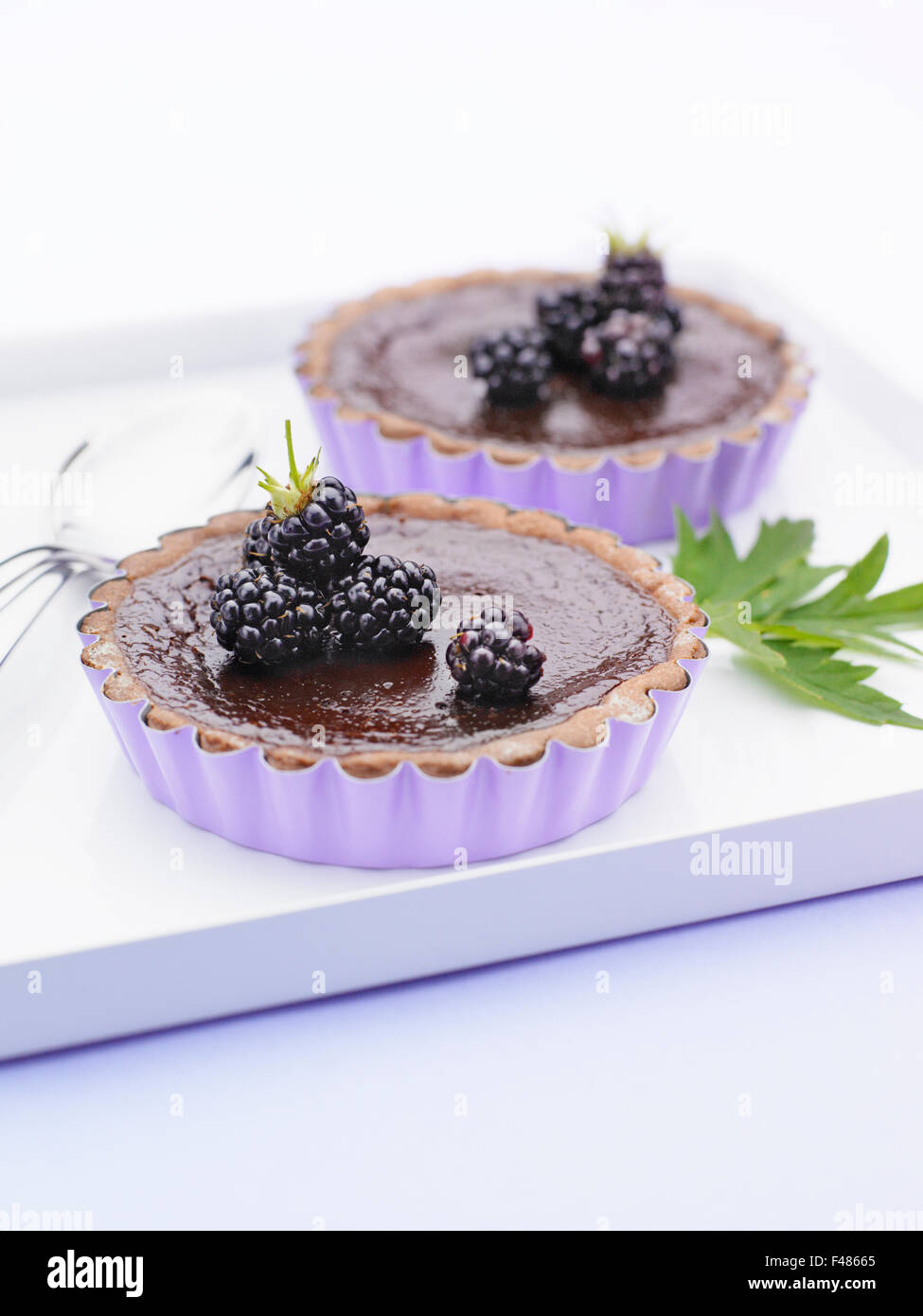 Chocolate pie and blackberry. Stock Photo