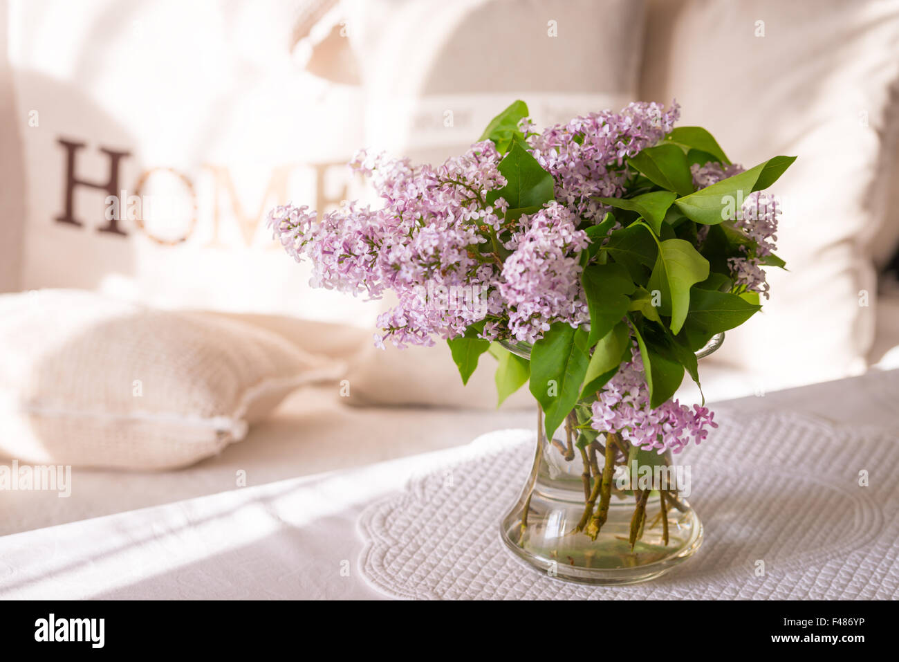 Syringa Stock Photo