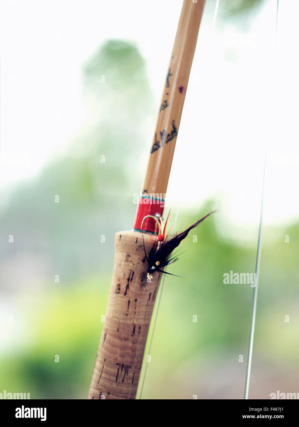 Fishing rod, close-up, Sweden. Stock Photo