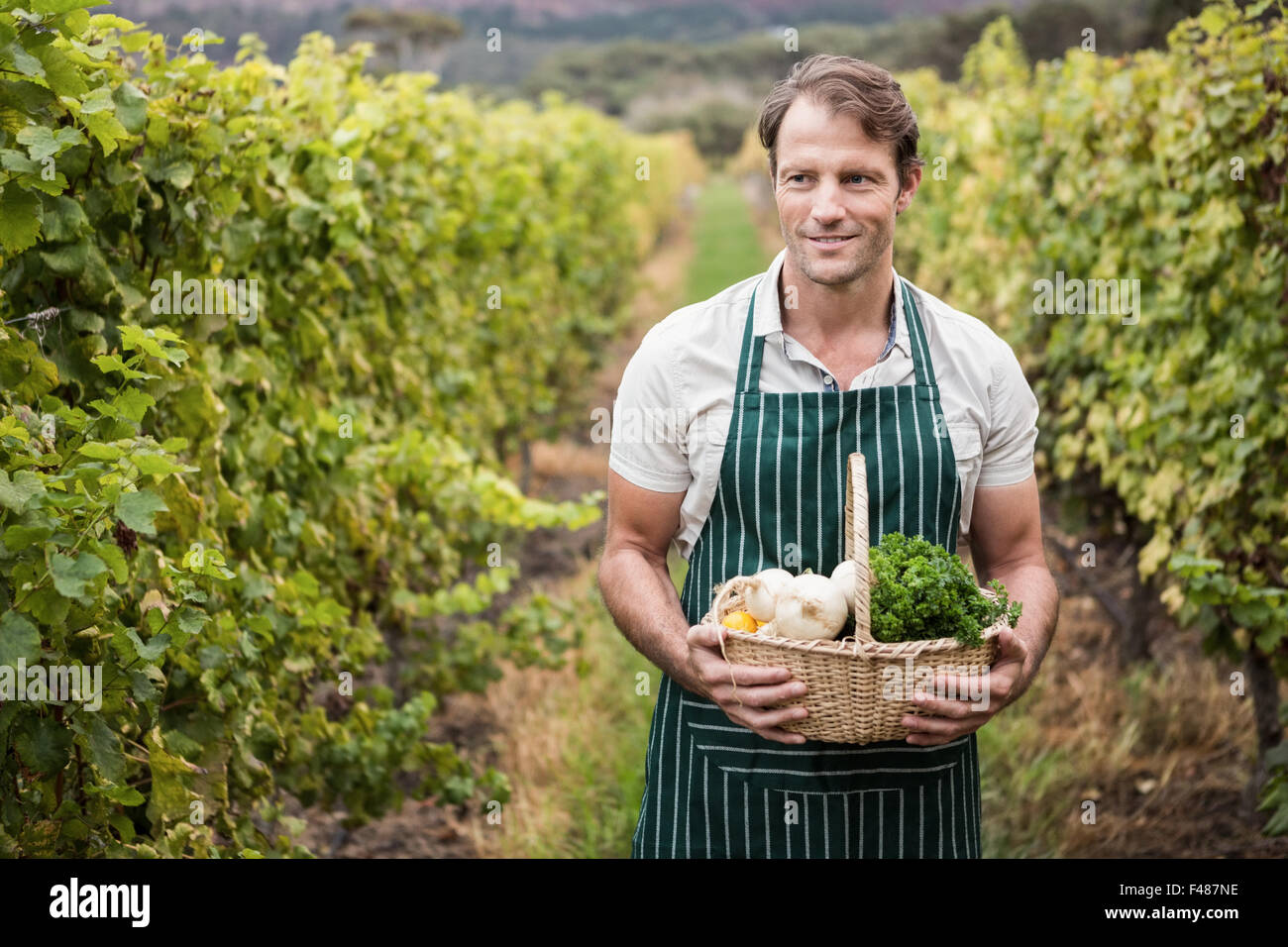 Young happy farmer holding a basket of vegetables Stock Photo - Alamy