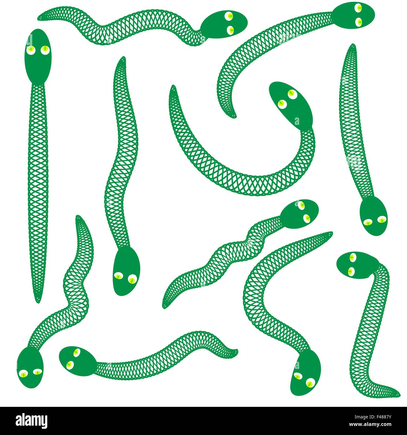 Collection of snakes hi-res stock photography and images - Alamy