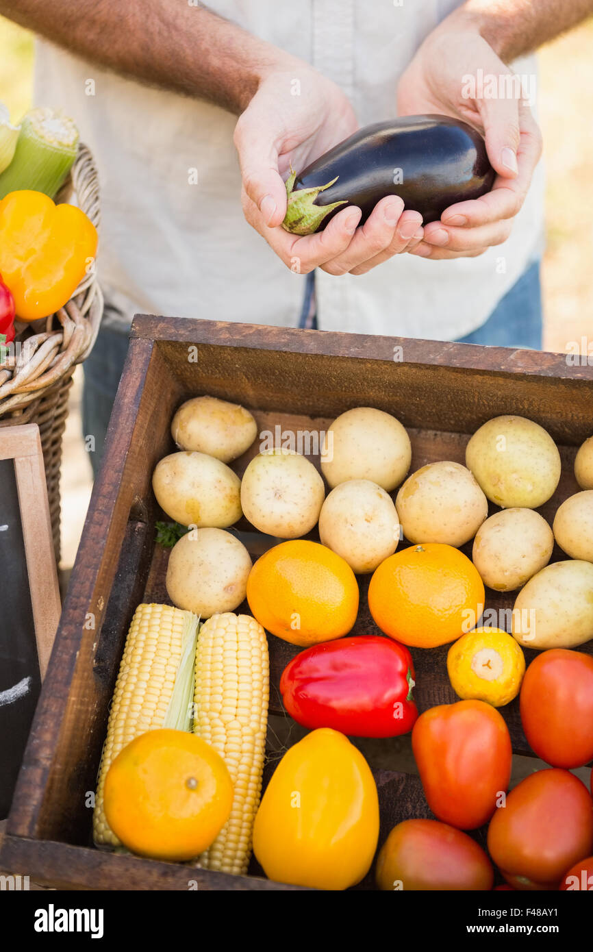 Man holding eggplants Stock Photo Alamy