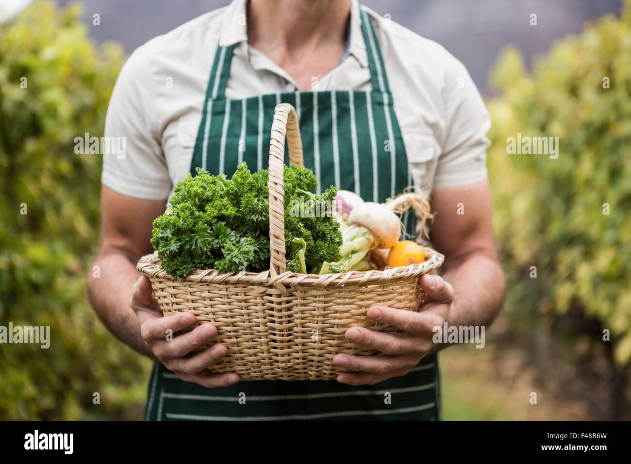 Farmer hands holding a basket of vegetables Stock Photo Alamy