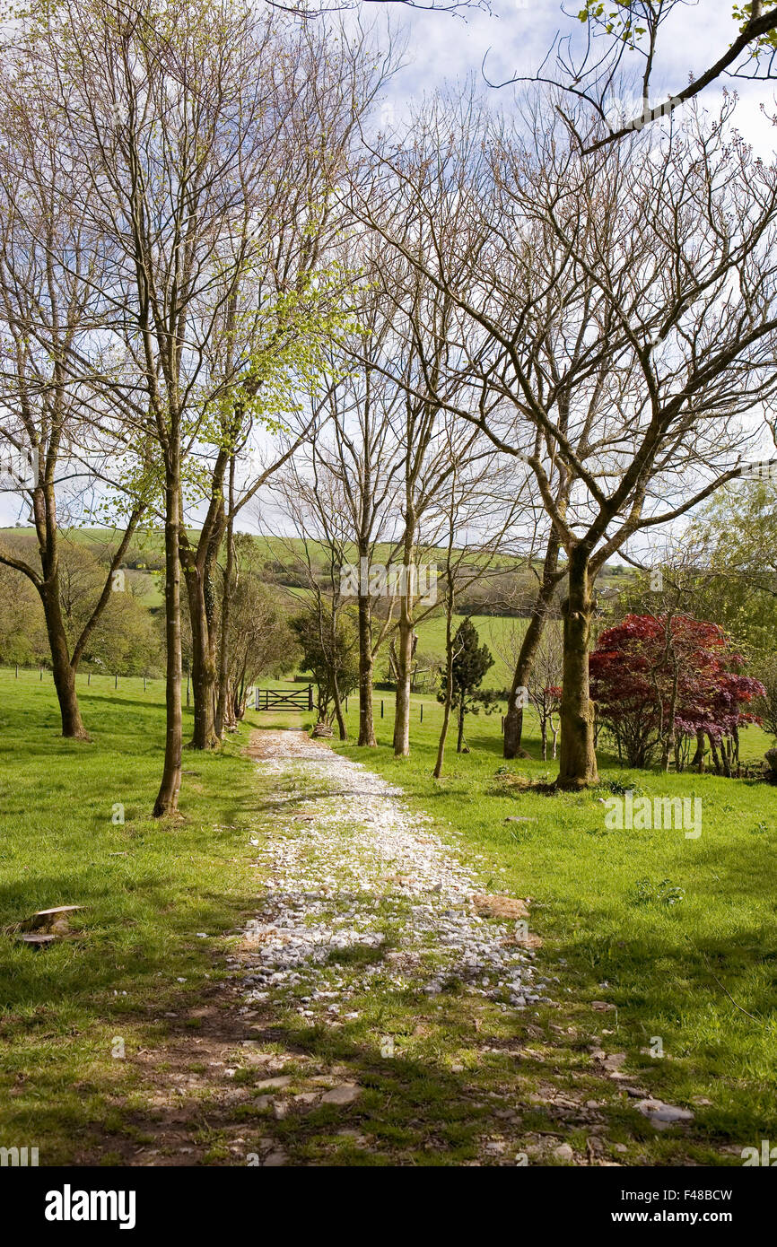 Graveled path in the countryside, England Stock Photo - Alamy