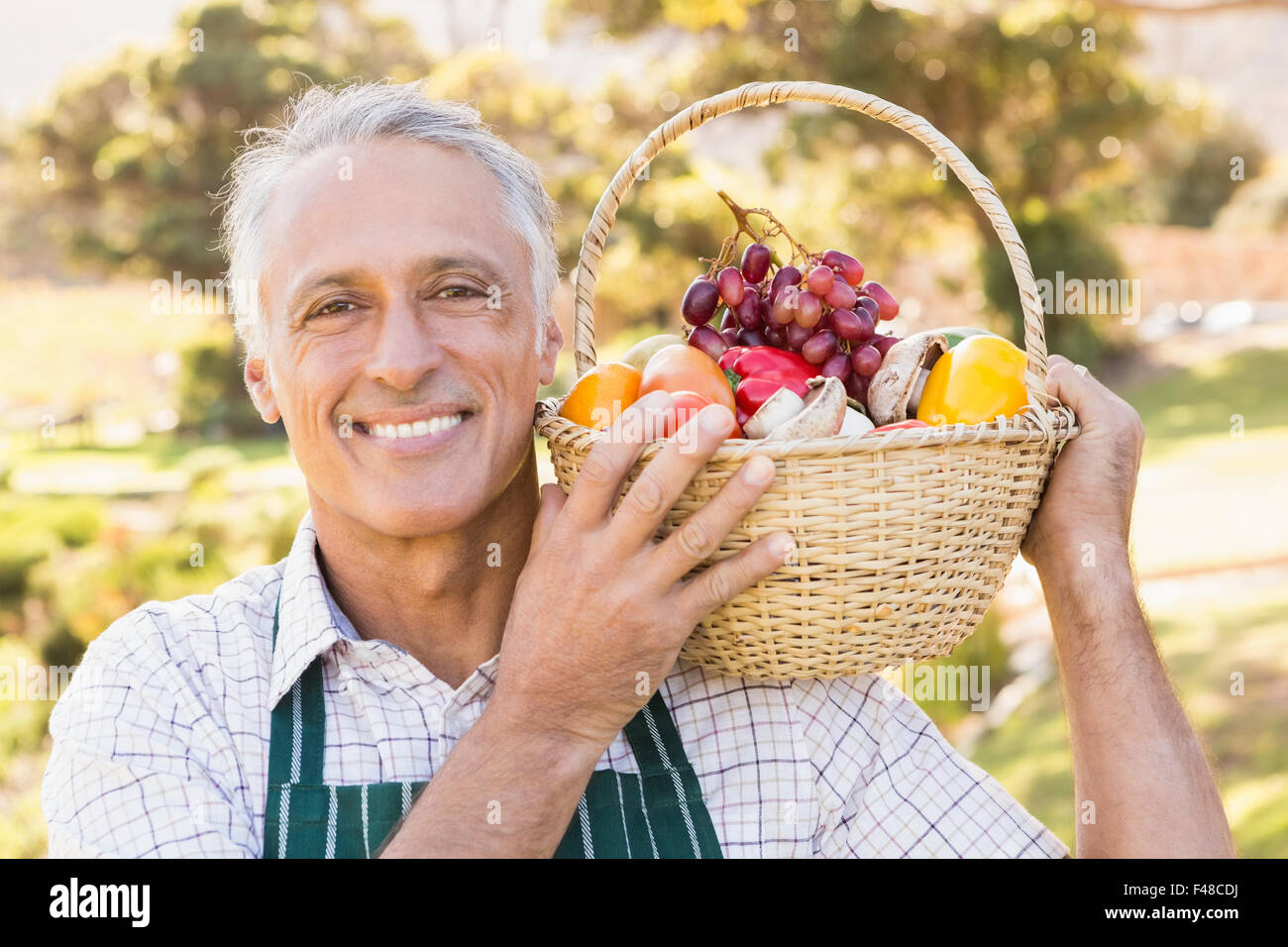 Mature happy farmer holding a basket of vegetables Stock Photo - Alamy