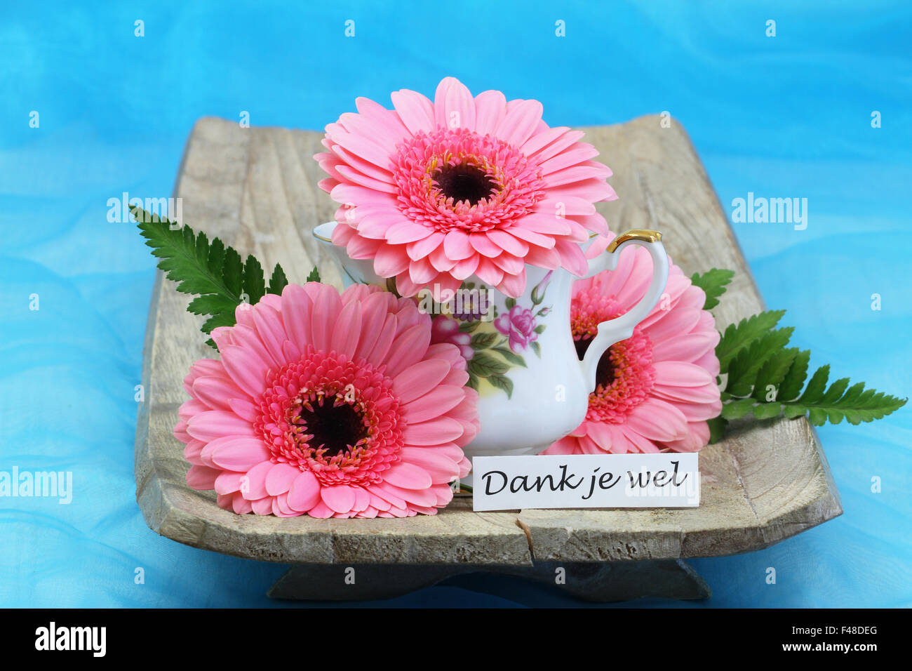 Dank je wel (which means thank you in Dutch) with pink gerbera daisies Stock Photo Alamy