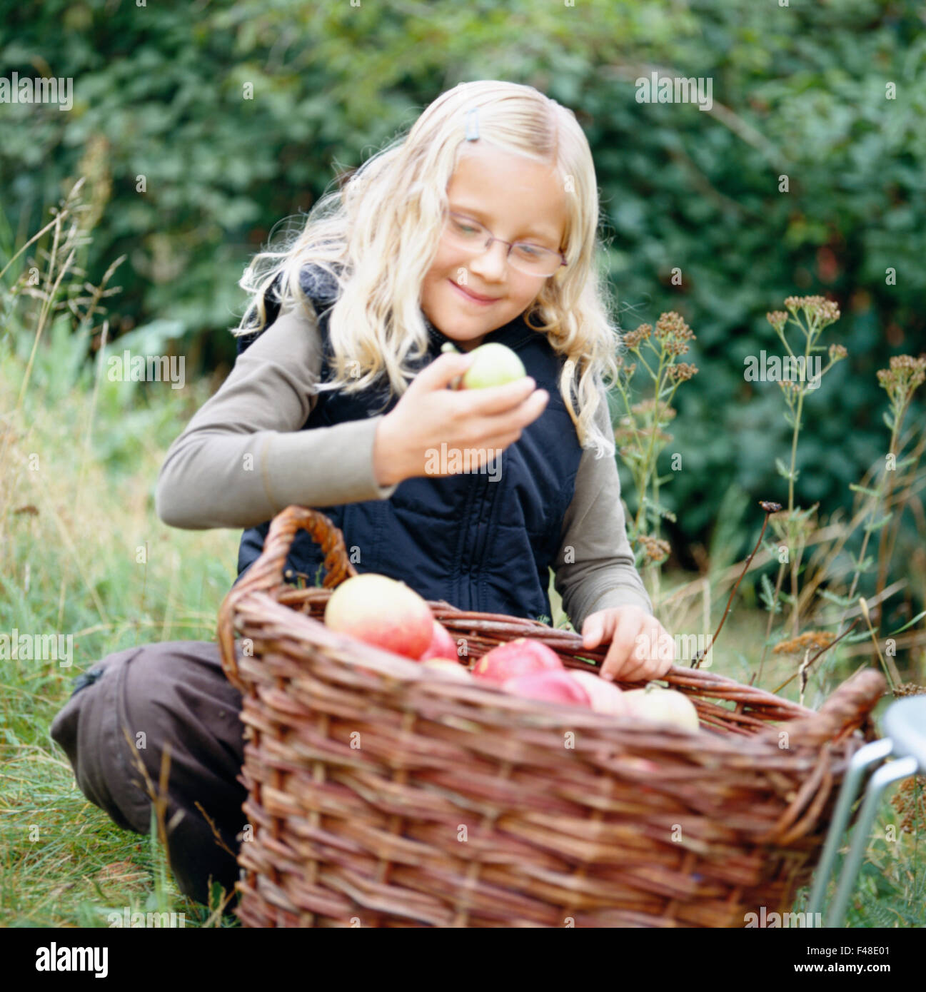 Girl with a basket of apples, Sweden. Stock Photo