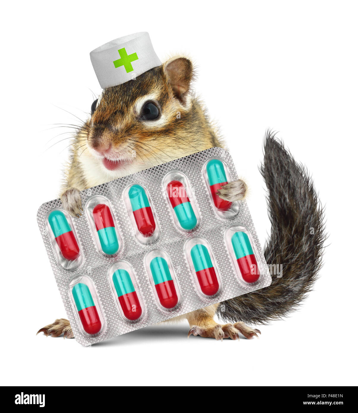 Funny pet chipmunk hold pills, dressed veterinarian hat Stock Photo