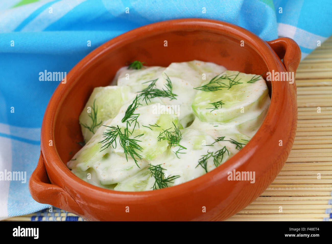 Cucumber salad with sour cream, paprika and fresh dill Stock Photo