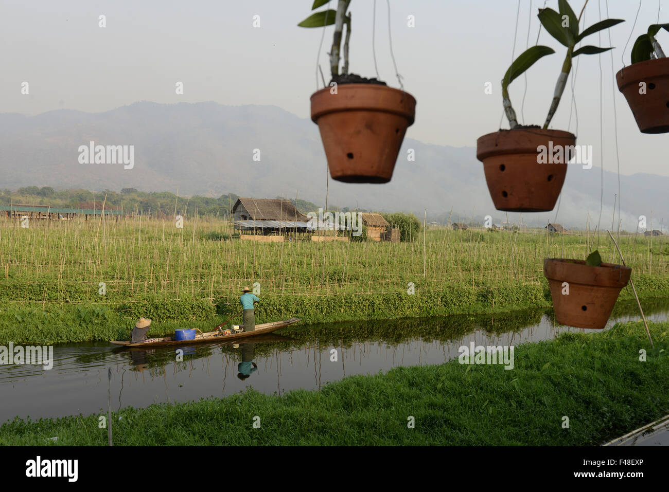 ASIA MYANMAR NYAUNGSHWE FLOATING GARDENS Stock Photo Alamy