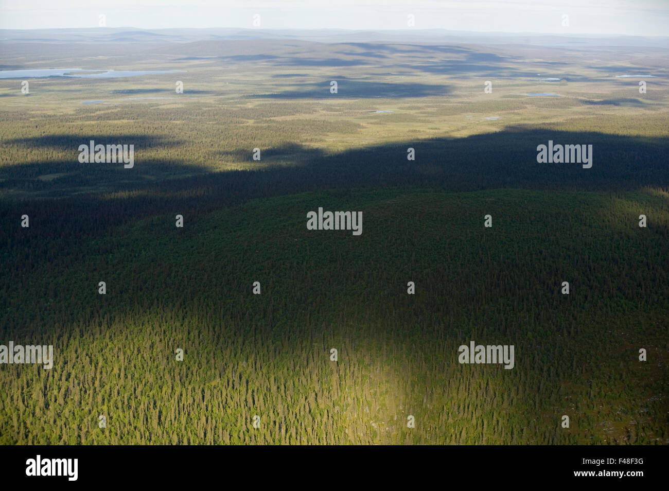 View over a wide woodland, Lapland, Sweden. Stock Photo