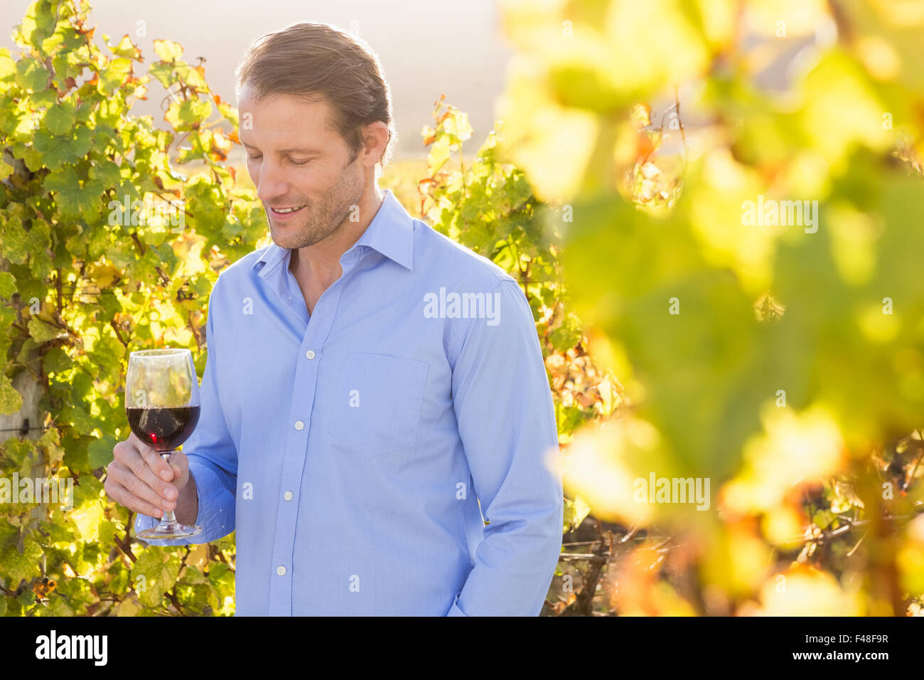 Smiling man with red wine glass Stock Photo - Alamy