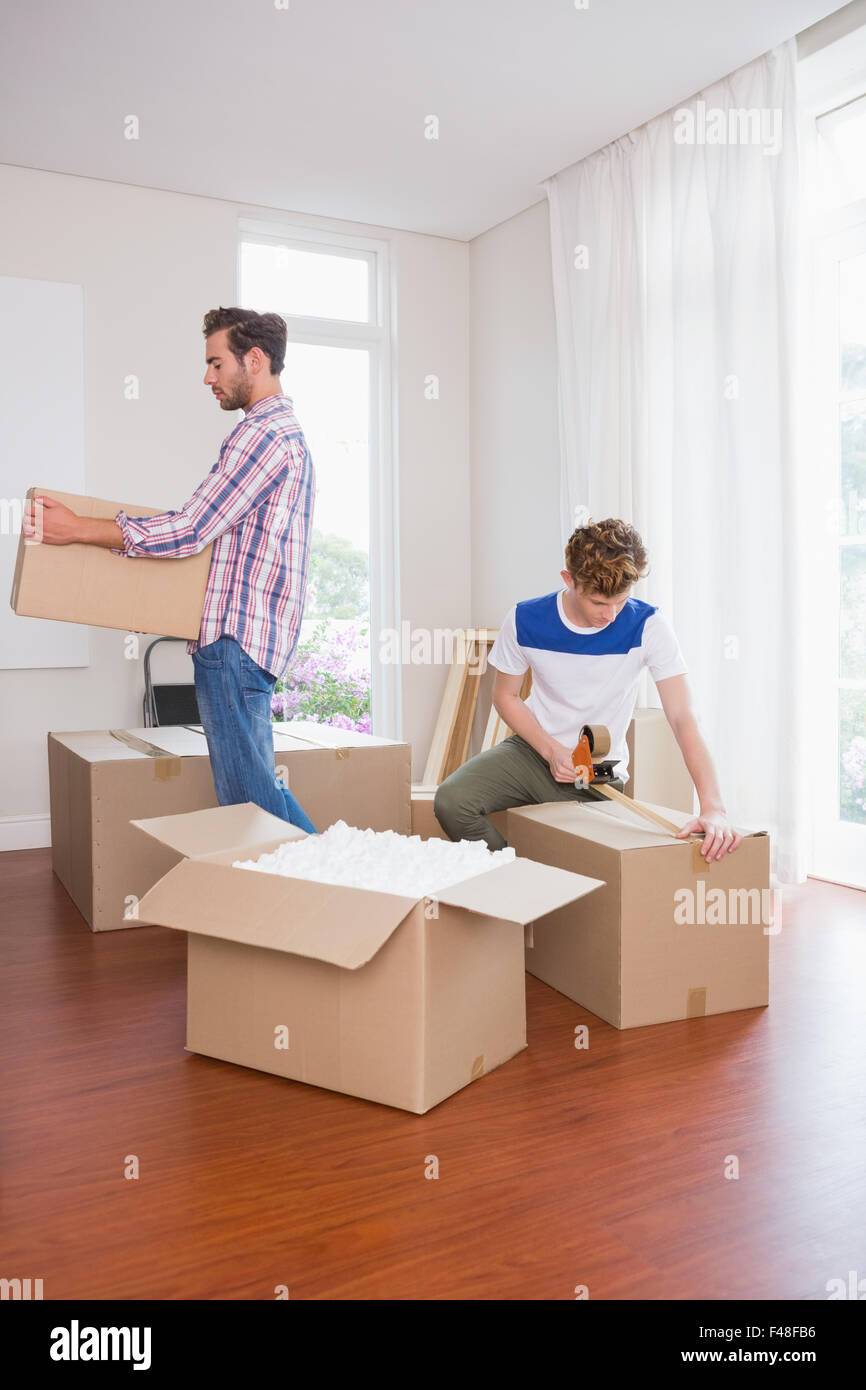 Homosexual couple packing box Stock Photo - Alamy