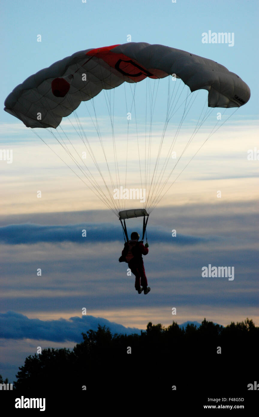 Parachute jumper above a forest, Sweden Stock Photo Alamy