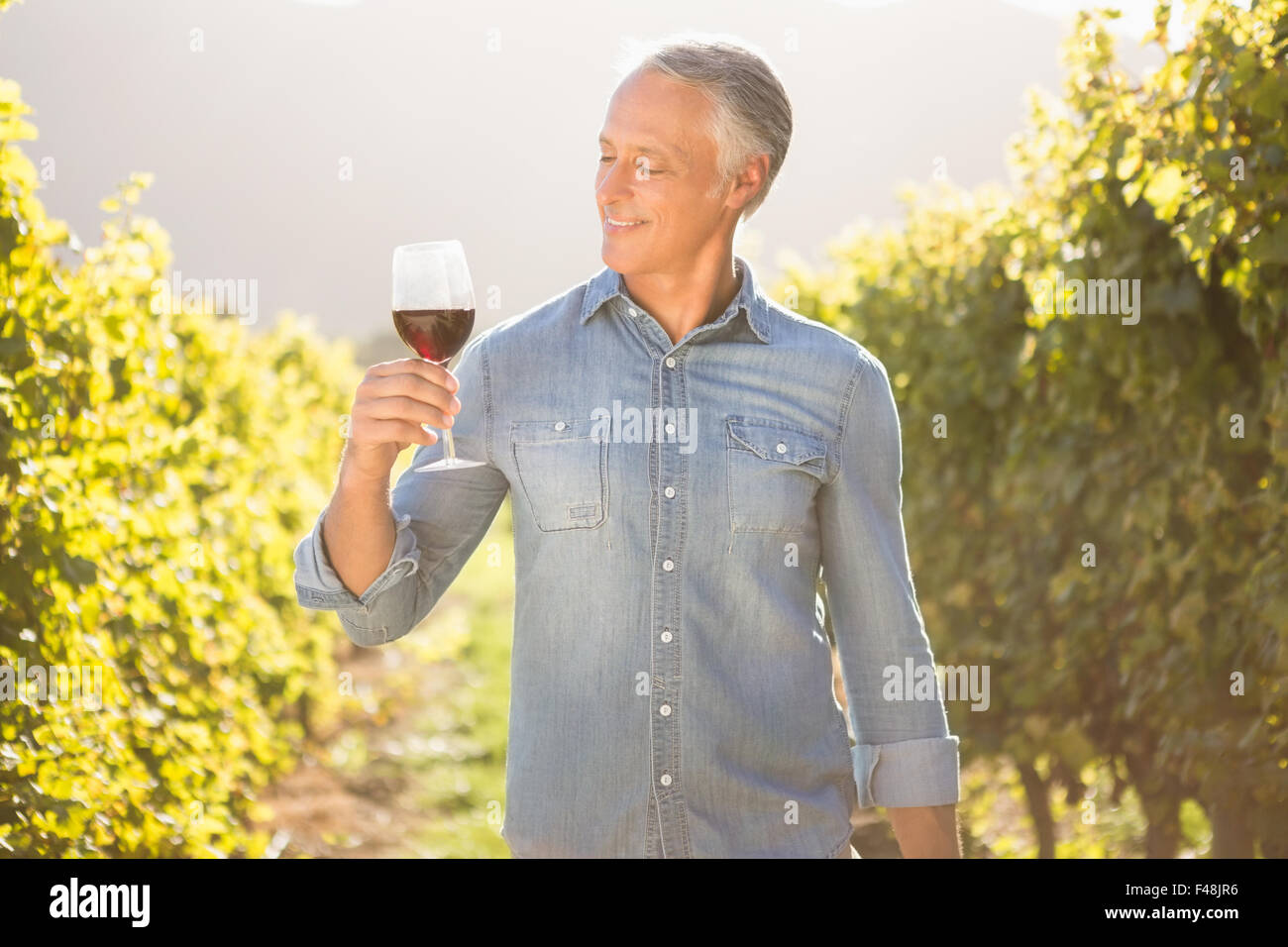 Man with wine glass Stock Photo by ©Tverdohlib.com 94262798