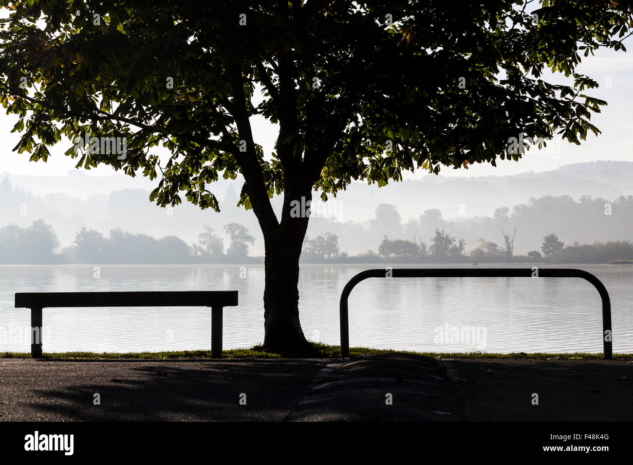 Silhouette of a tree and empty bench with a view over a misty Castle Semple Loch, Castle Semple Country Park, Lochwinnoch, Renfrewshire, Scotland, UK Stock Photo