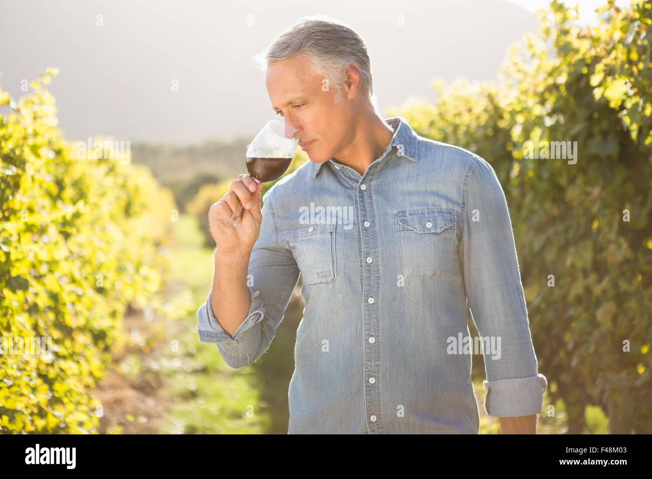 Man tasting and smelling red wine Stock Photo - Alamy