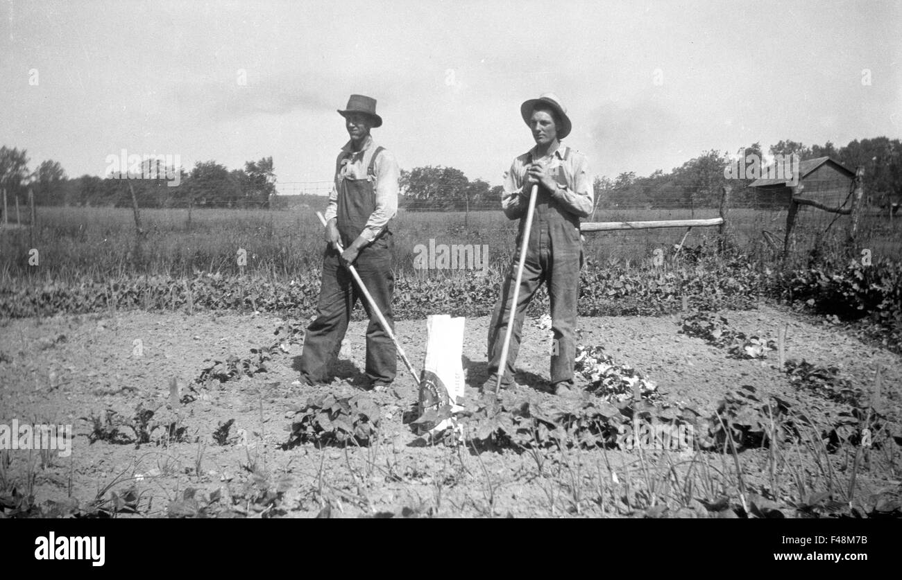 Two farmers tending to a garden during the Great Depression. overalls farming gardening growing food vegetables Stock Photo