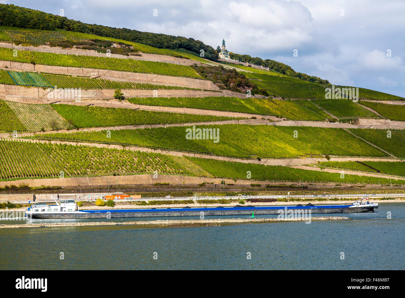 Upper middle Rhine valley, vineyards in steep hills, along river Rhine ...