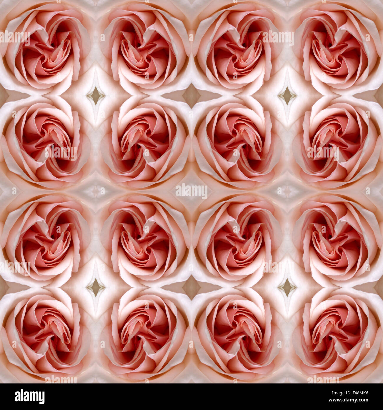 Cyan Roses Seamless Pattern seamless pattern with roses Stock Photo - Alamy