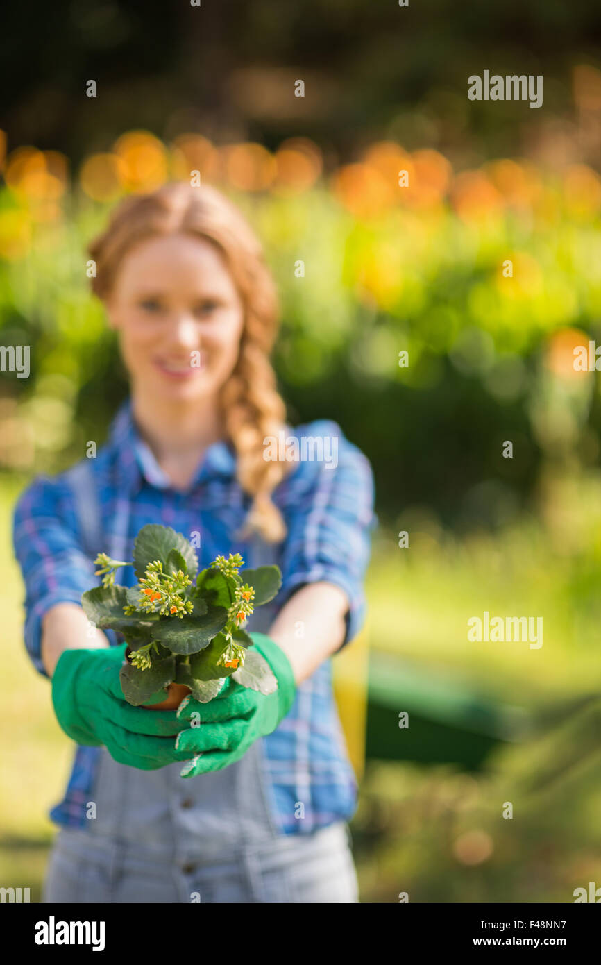 Happy blonde holding potted flowers Stock Photo - Alamy