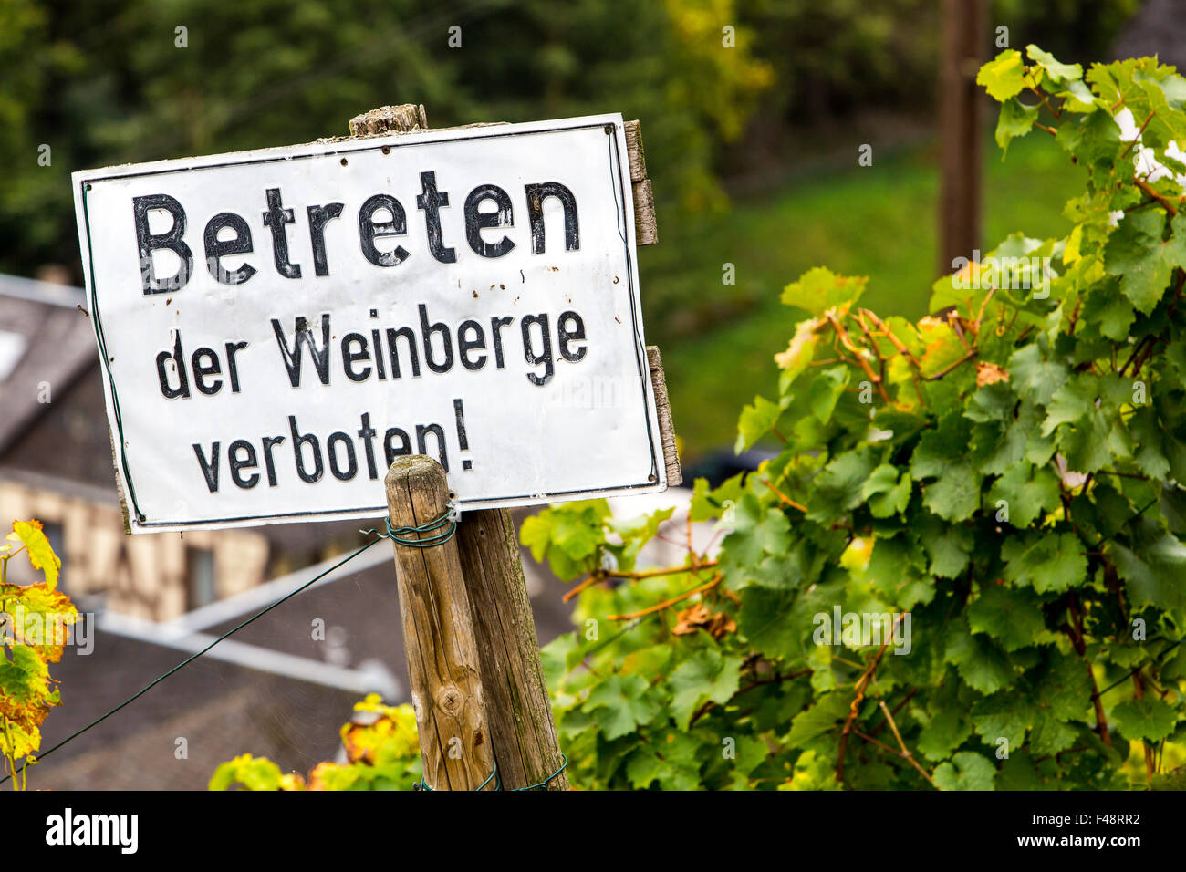 Sign in a vineyard, says: Do not enter vineyard, Germany Stock Photo