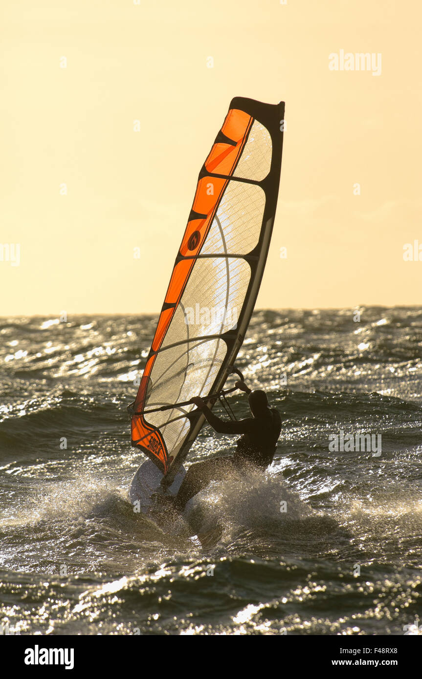Windsurfer on an open sea, Sweden. Stock Photo