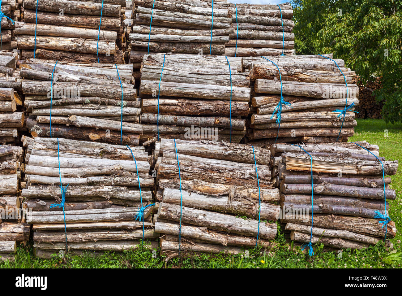 Large bundles of wood hires stock photography and images Alamy