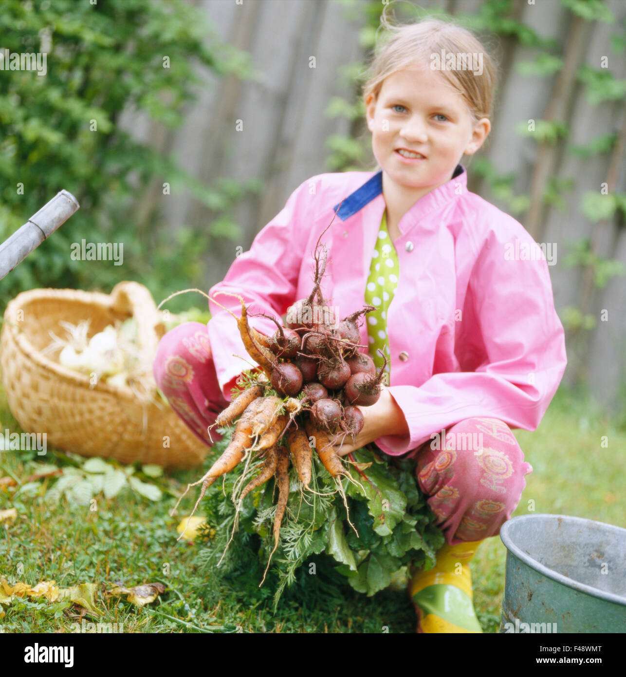 Girl carrying root vegetables, Sweden Stock Photo Alamy
