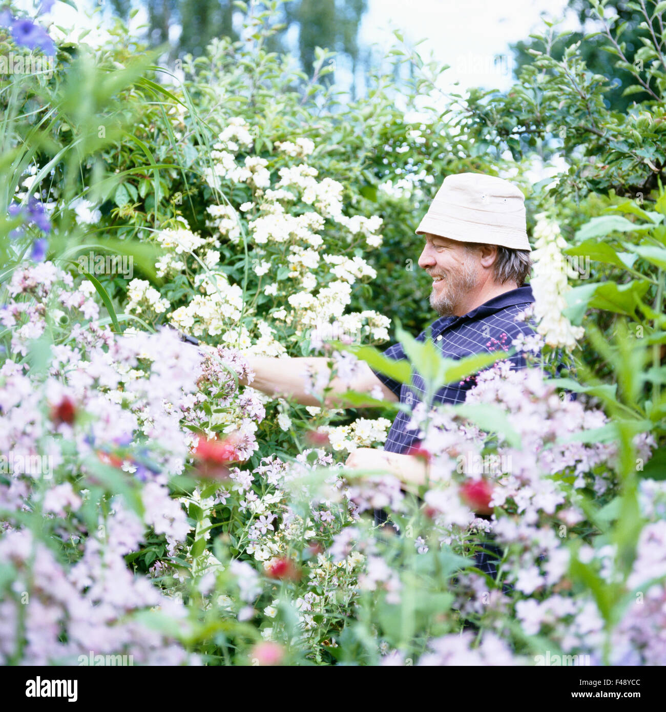 Man in garden painting hi-res stock photography and images - Alamy