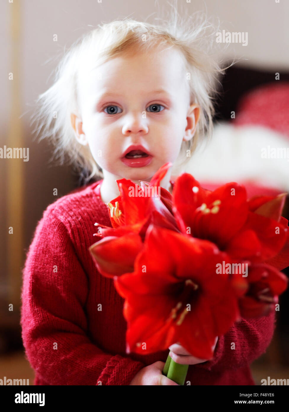 A girl in red with a bouquet of amaryllis Stock Photo