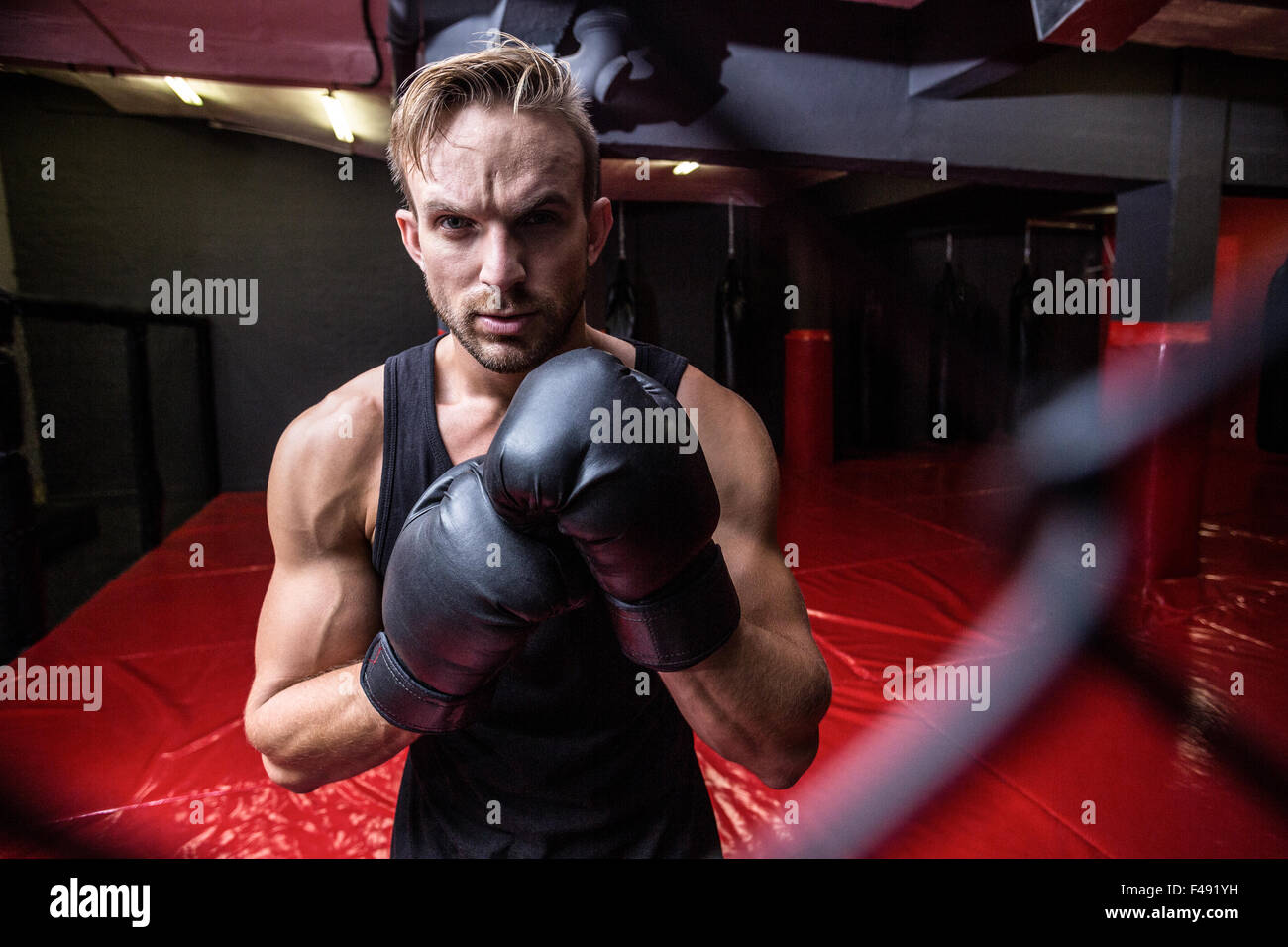 Adult man boxing camera hi-res stock photography and images - Alamy