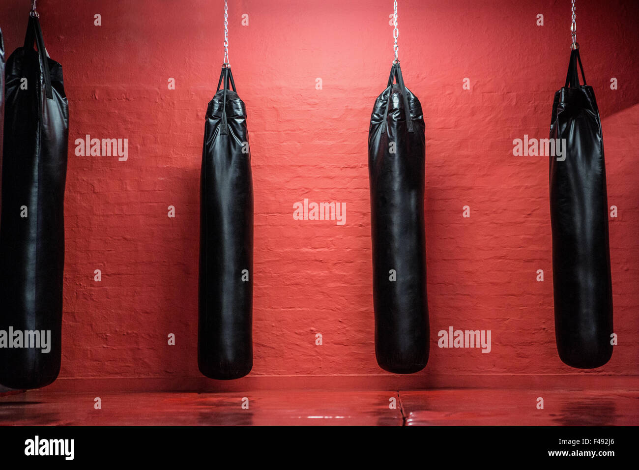 Punching bags in red boxing area Stock Photo Alamy